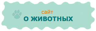 Aboutanimals.ru