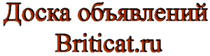 Briticat.ru