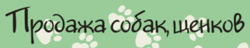 Dog-sale.ru