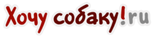Hochusobaku.ru
