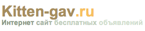 Kitten-gav.ru