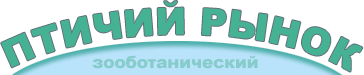Ptichiyrynok.ru