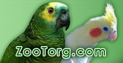 Zootorg.com